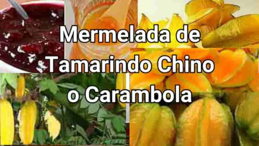 como hacer mermelada de tamarindo chino